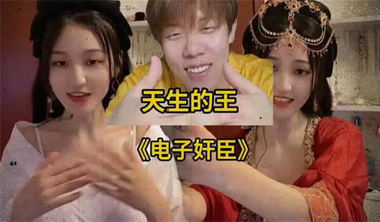 电子奸臣是什么梗