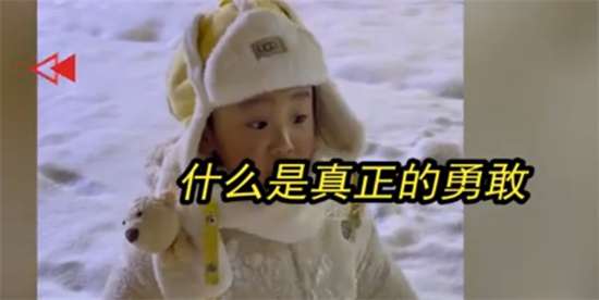 真正的勇敢是保护自己 而不是挑战危险