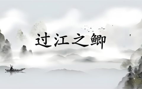 天下英雄如过江之鲫是什么意思 - 文章缩略图