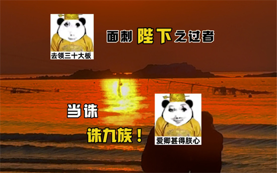 电子奸臣是什么梗