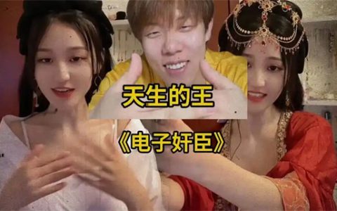 电子奸臣是什么梗 - 文章缩略图