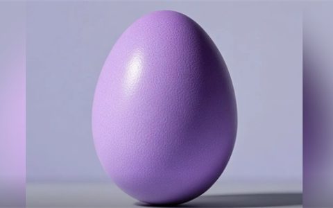 紫蛋是什么意思 - 文章缩略图