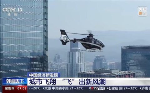 CITY FLY是什么梗 - 文章缩略图