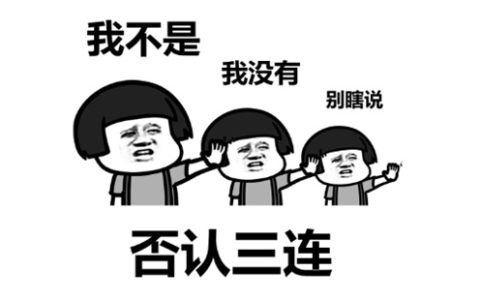 bushi是什么梗 - 文章缩略图