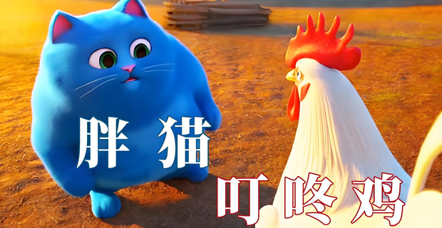 叮咚鸡是什么梗