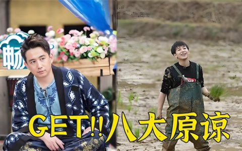 八大原谅是什么梗 - 文章缩略图