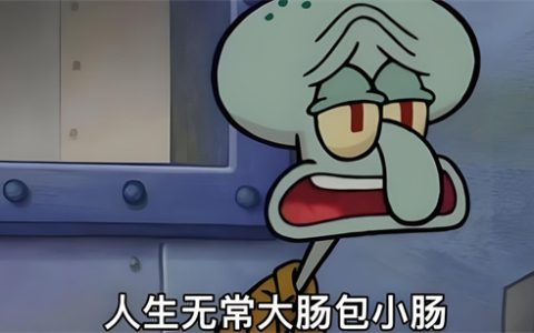 大肠包小肠是什么梗 - 文章缩略图