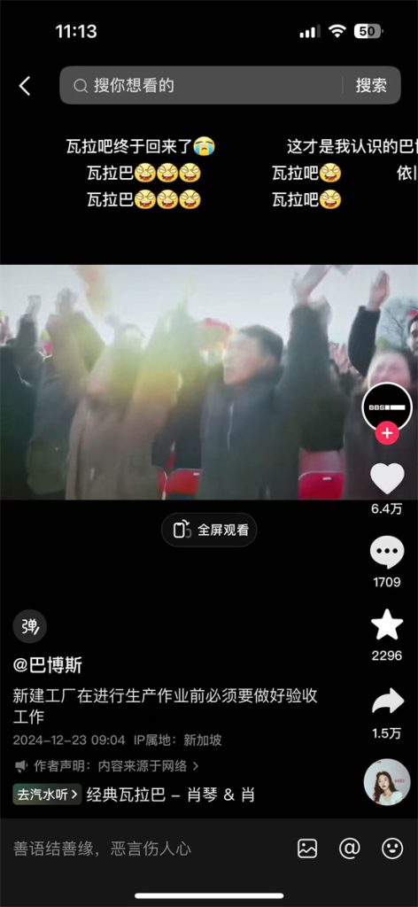 抖音朝鲜巴博斯是什么意思