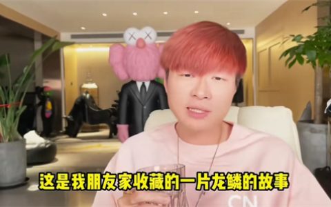 帝师我见过龙是什么梗 - 文章缩略图