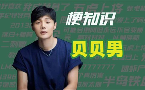 贝贝男是什么意思 - 文章缩略图