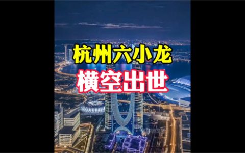 杭州六小龙是什么意思？杭州六小龙企业有哪些？ - 文章缩略图