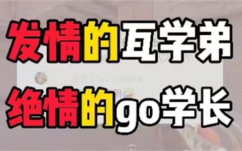 go学长瓦学弟什么意思 - 文章缩略图